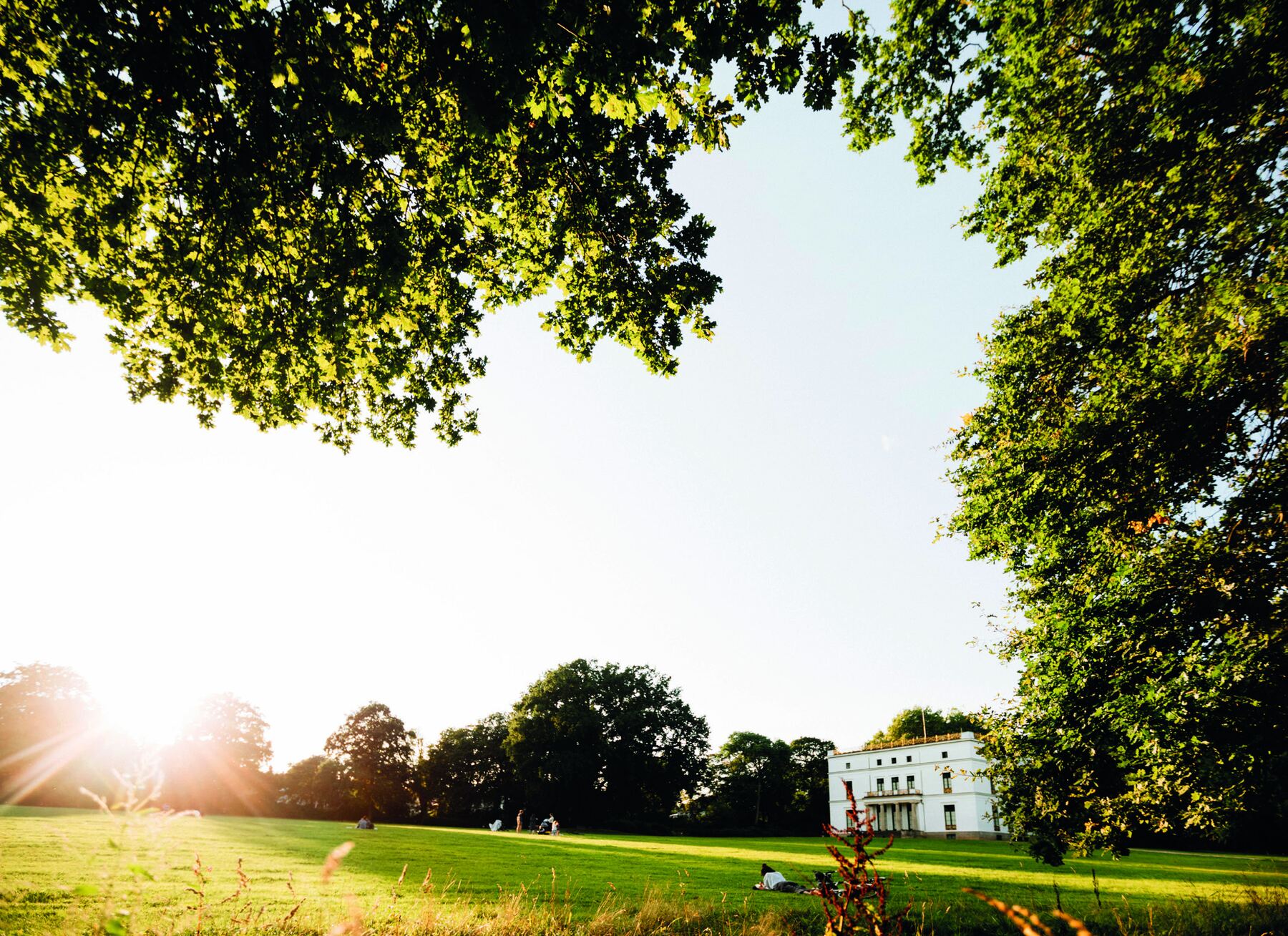 Weite Parkwiese mit altem Baumbestand im Sonnenlicht, im Hintergrund ein klassisches weißes Herrenhaus